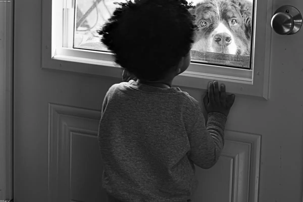 Profound Apology Follows Tragic Death of Young Boy Due to Preventable Bleed